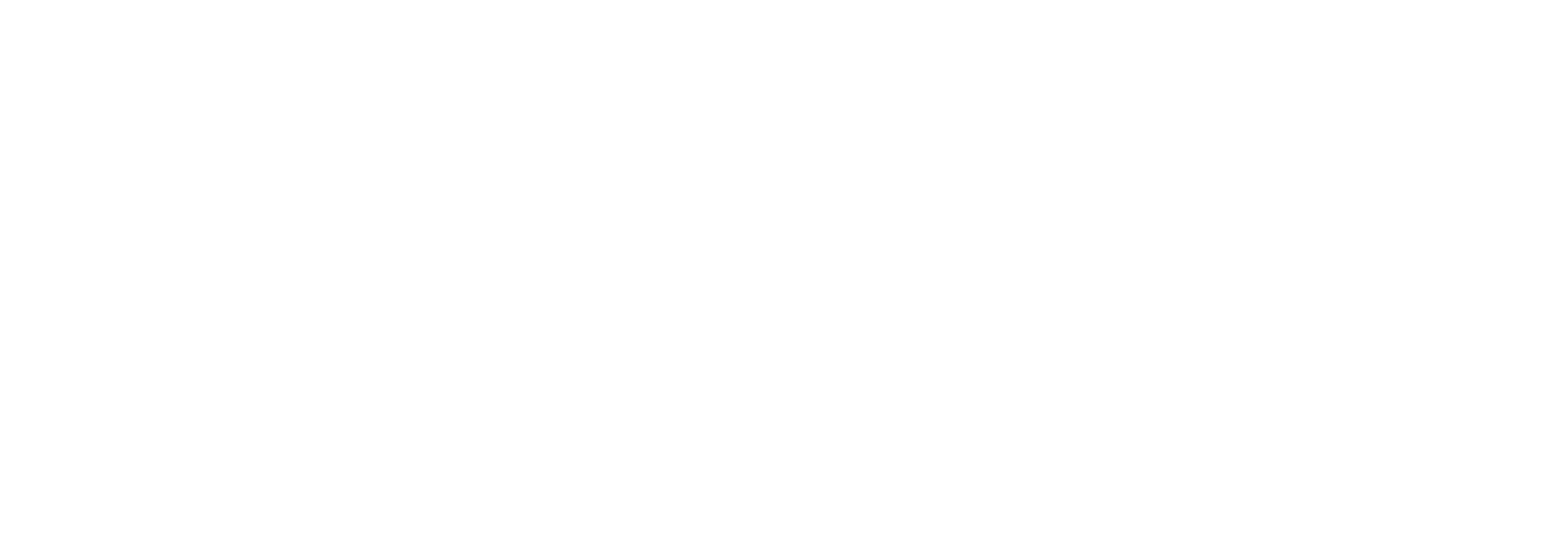 Kerstin Puntigam Erfolgsfaktor Kerstin Puntigam Erfolgsfaktor